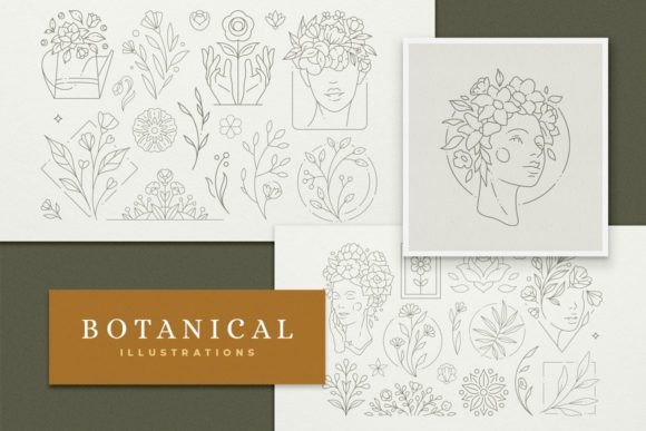 Download Line Art Botanical Illustrations Set - Botanical illustrations Collection
