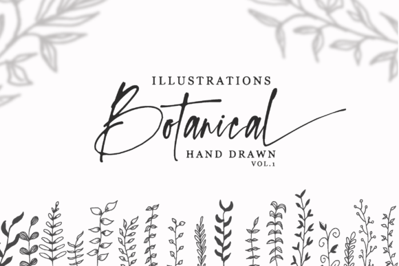 Download Hand Drawn Botanical Illustrations Vol.1 - Botanical illustrations Collection