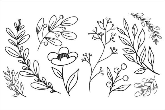Download 6 Botanical Illustrations - Botanical illustrations Collection