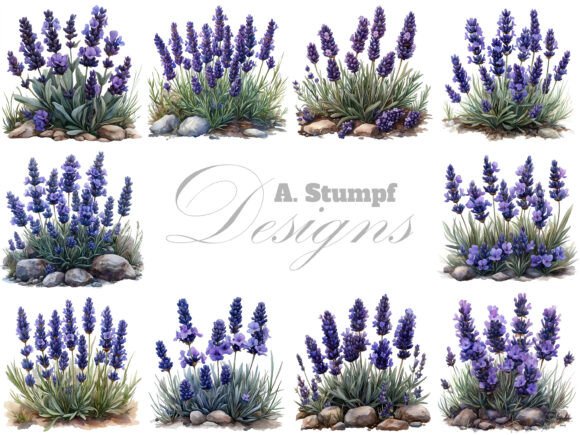 Download Lavender Flowers Clipart Set Floral Art - Premium Bundle