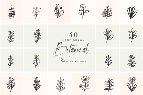 Download 40 Hand Drawn Botanical Illustrations - Botanical illustrations Collection