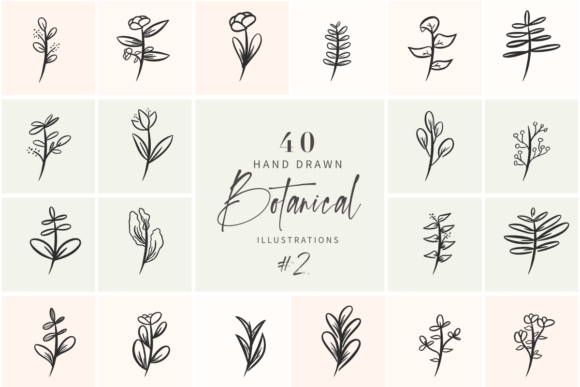 Download Hand Drawn Botanical Illustrations Vol 2 - Botanical illustrations Collection