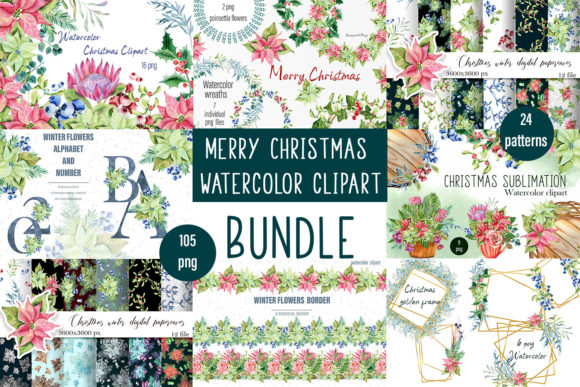 Download Christmas Set, Botanical Illustrations, - Botanical illustrations Collection
