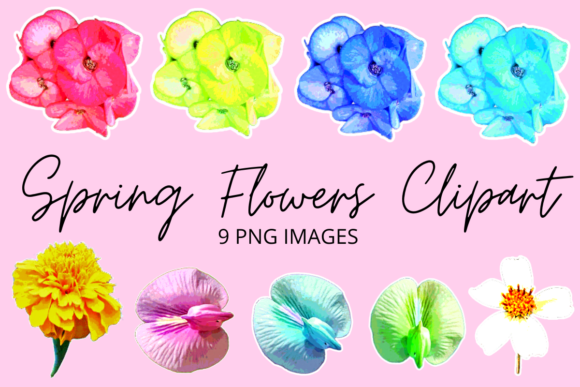 Download Colourful Spring Flowers Clipart Set - Spring flowers Collection