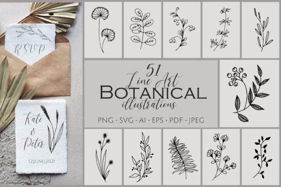 Download 51 Line Art Botanical Illustrations Bundle - Botanical illustrations Collection