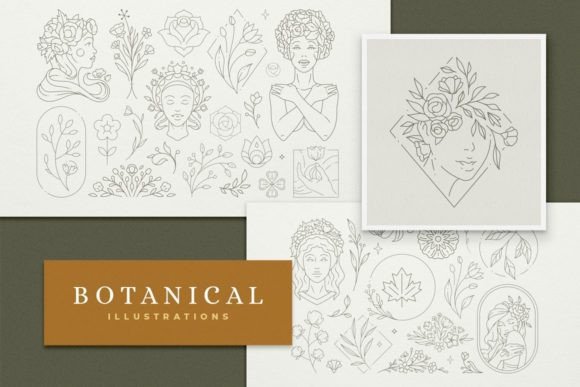 Download Line Art Botanical Illustrations Set - Botanical illustrations Collection
