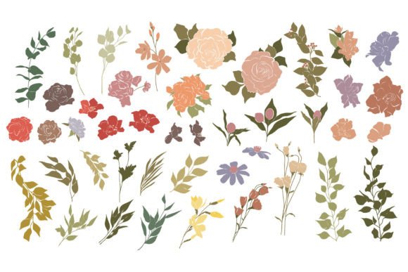 Download Botanical Illustrations Set - Botanical illustrations Collection