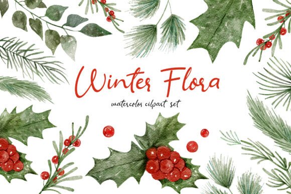 Download Winter Flora Watercolor Hand-drawn Set - Winter Collection