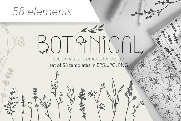 Download Botanical Illustrations Collection - Botanical illustrations Collection